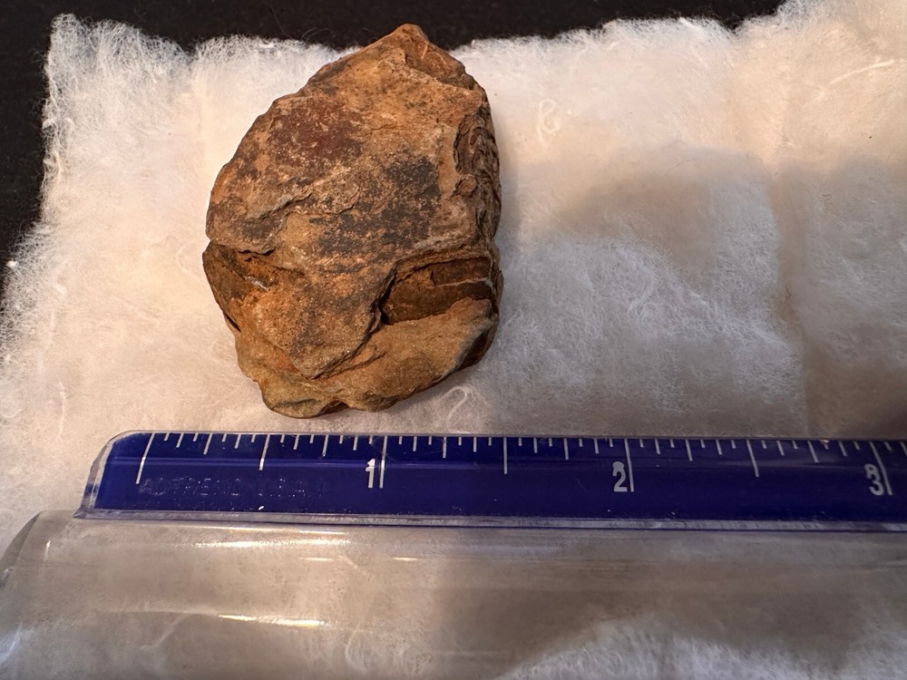 Fossil Trilobite from Morocco (D603FC8)