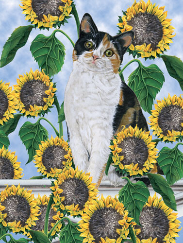 Calico Cat Blank Note Cards Boxed