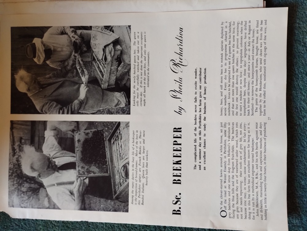 Sk283 Ephemera 1940s Article Beekeeping Sheila Richardson
