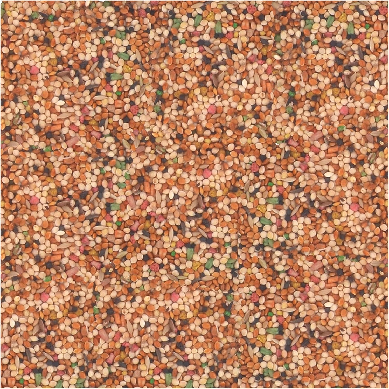 3Lb Small Bird Food-High Vitamin Seed Bird Food For Canaries, Parakeet , Finches