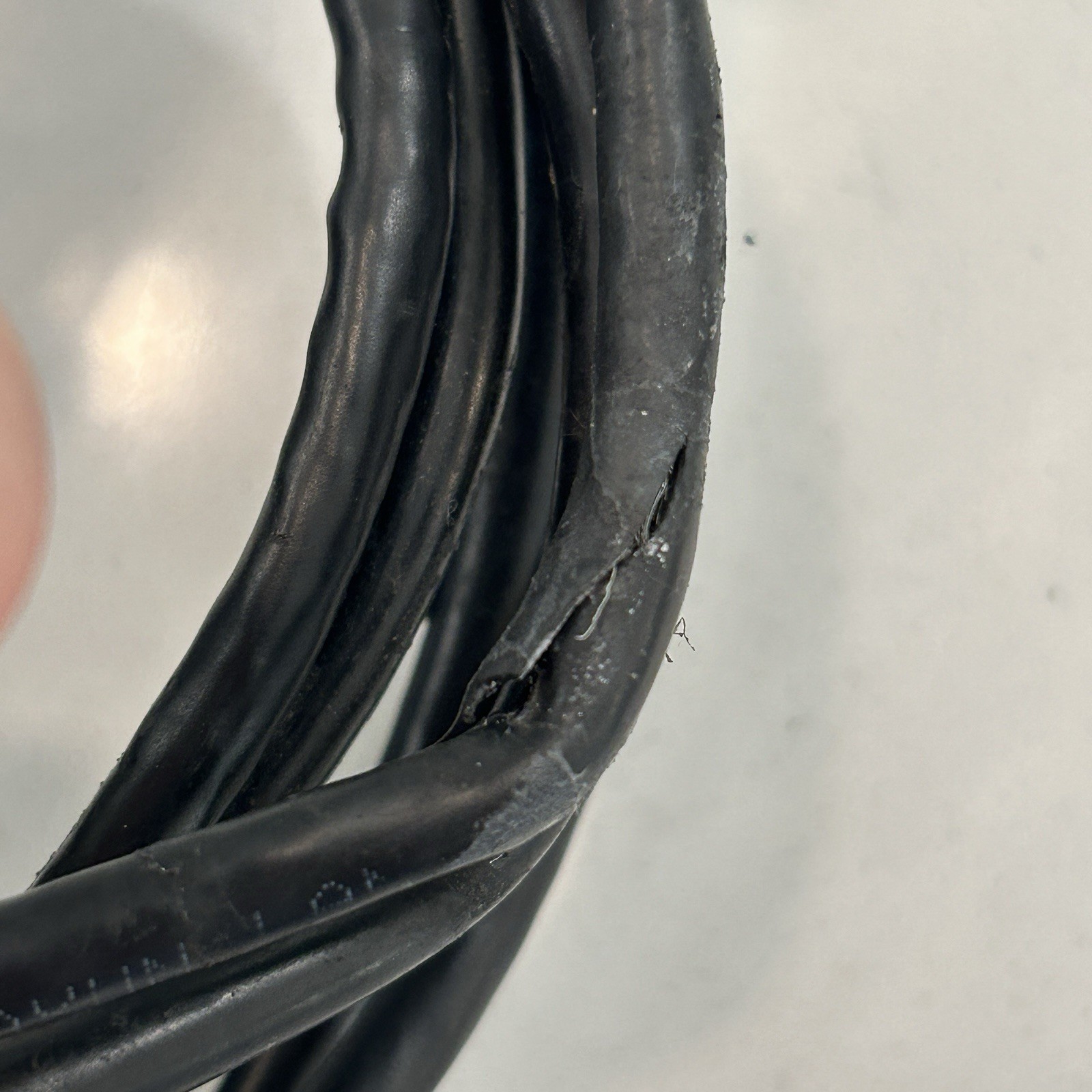 Humminbird MEGA Live Imaging Transducer