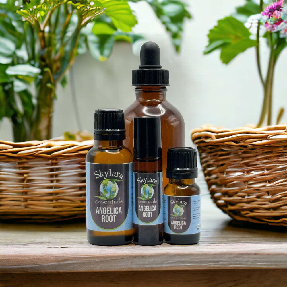 Angelica Root Essential Oil - 100% Natural
