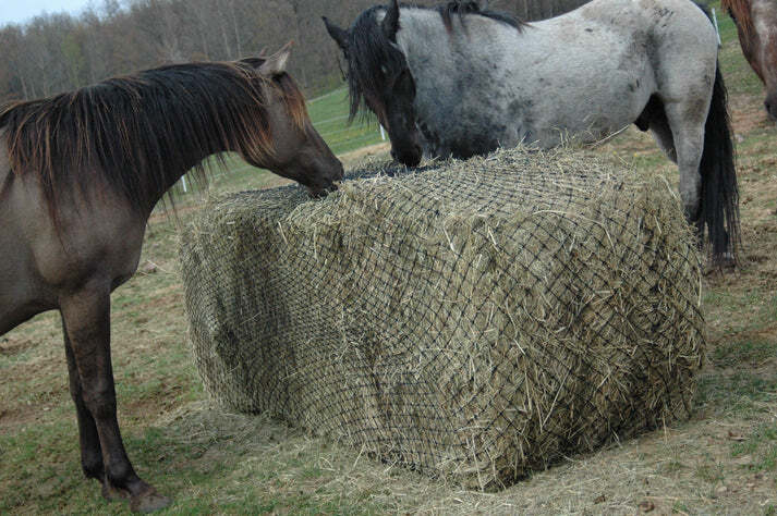 NEW Hay Chix 6' Large Round Bale Slow Feed Net - MULTIPLE HOLE SIZES