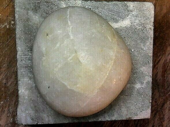 Rock Specimen #218--UNKNOWN SPECIMEN