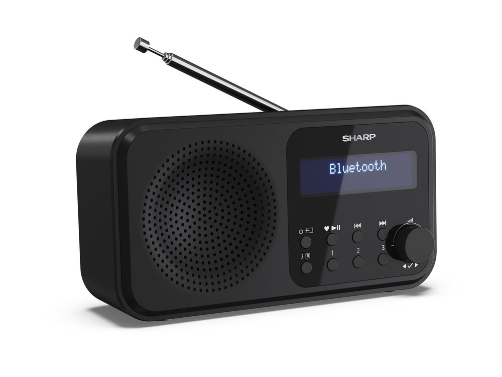 Sharp DR-P420 Portable Digital DAB DAB+ FM Auto Scan DRP420BK