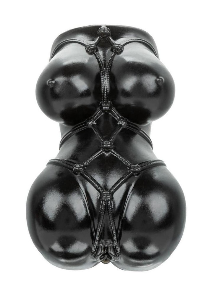 Anime Stroker Misty Pussy