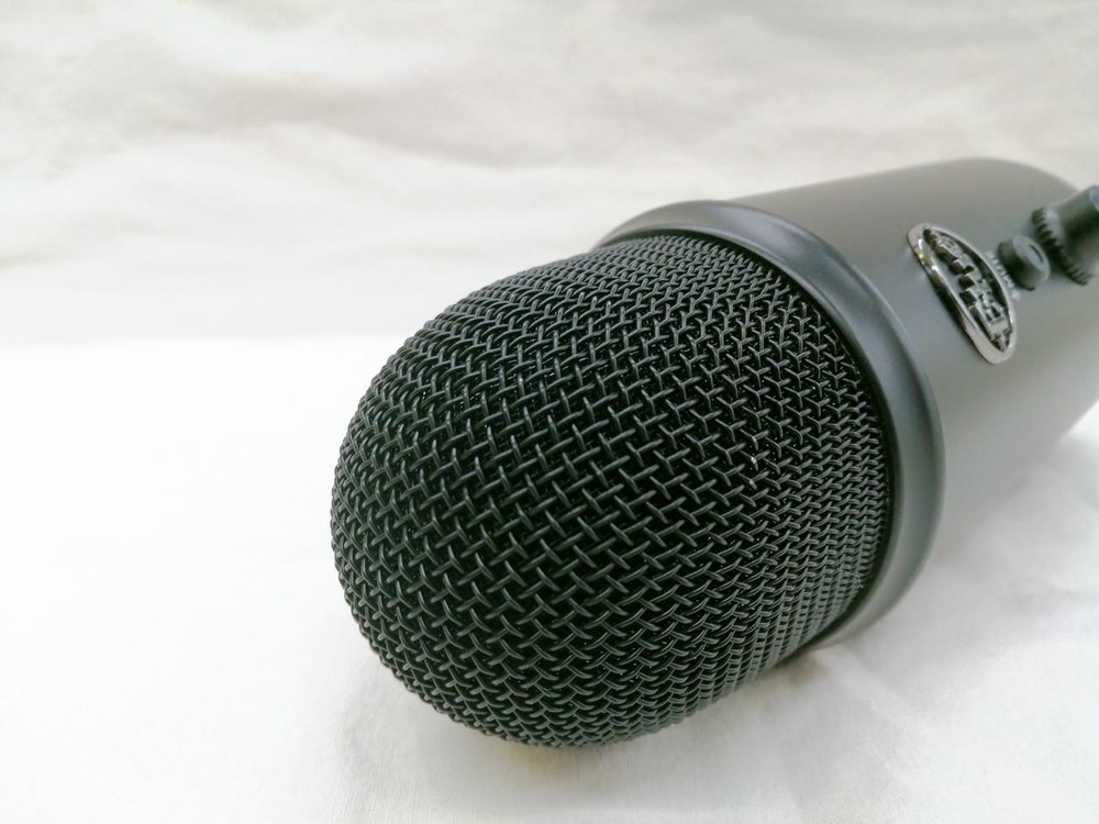 BLUE MICROPHONES Condenser Microphone A00132 Used