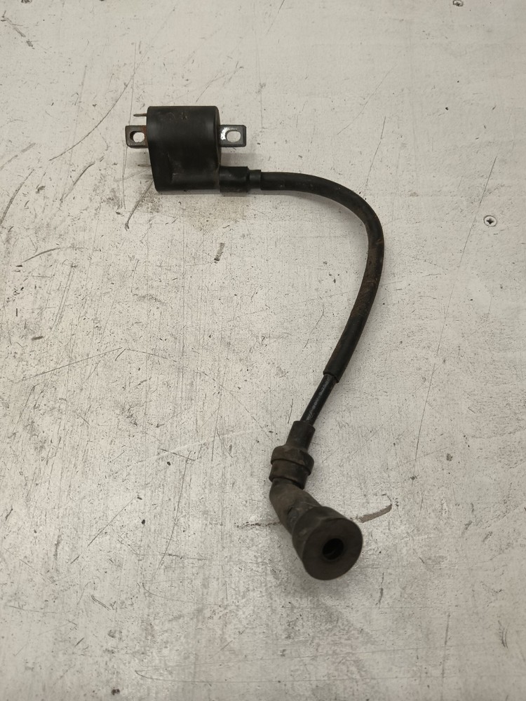 Lexmoto Isca 125 2024 Coil Pack