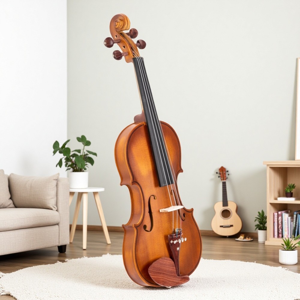 4/4 Solid Spruce Top Acoustic Beginner Violin Set - Shoulder Rest, Tuner, Matte