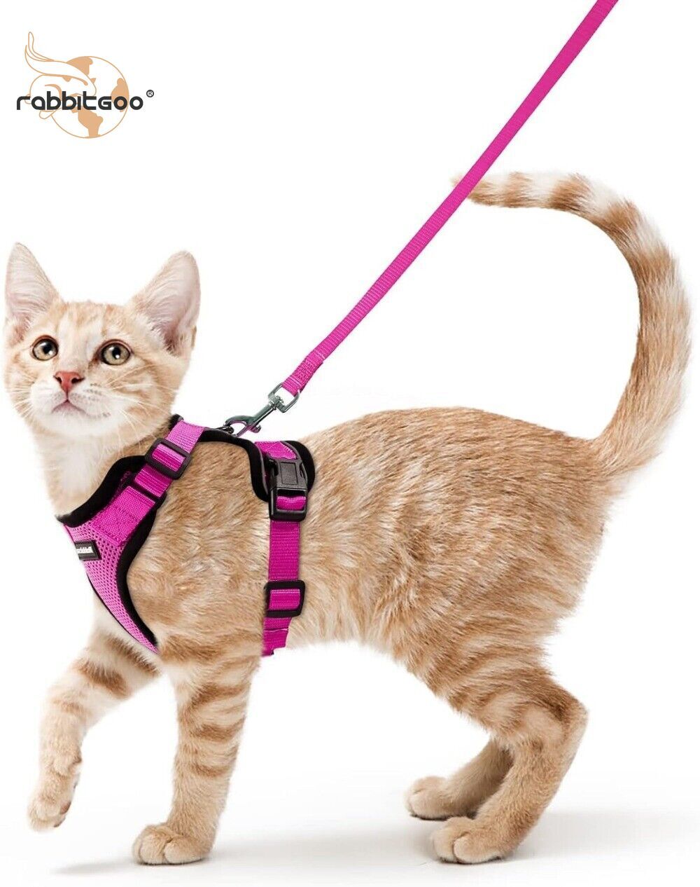 rabbitgoo Cat Harness & Leash Escape Proof Adjustable Vest Reflective Breathable