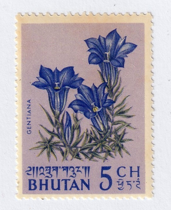 Bhutan         35        MNH OG
