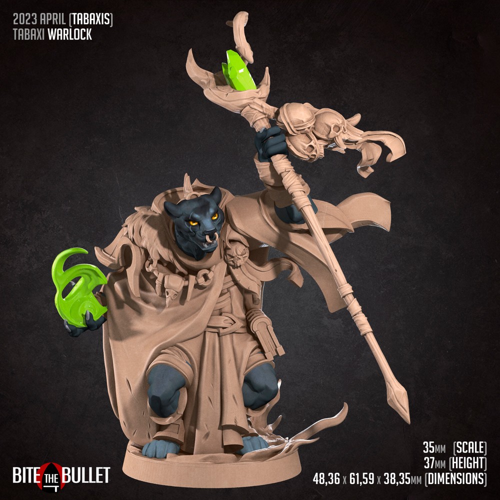 Tabaxi - Warlock / Wizard - Bite the Bullet - Dungeons and Dragons