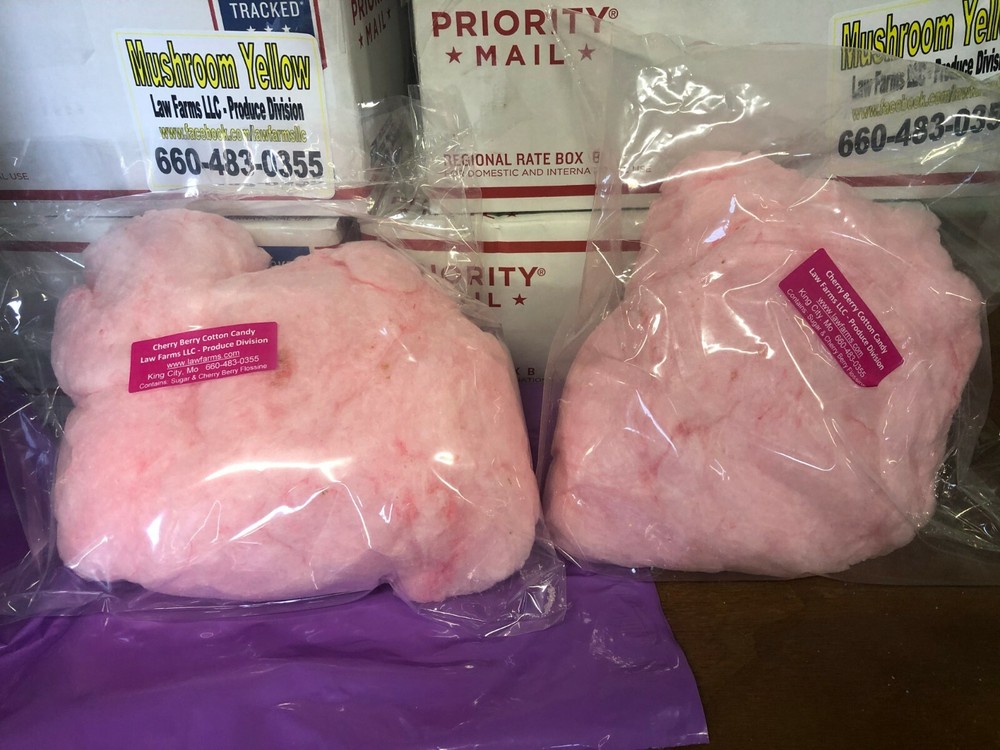 Cotton Candy - Fair - Circus Treats