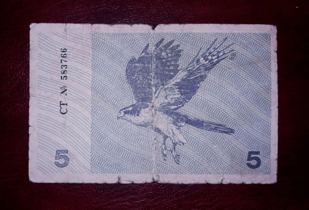 Lithuania 5 talonu banknote,1991year(normal condition)