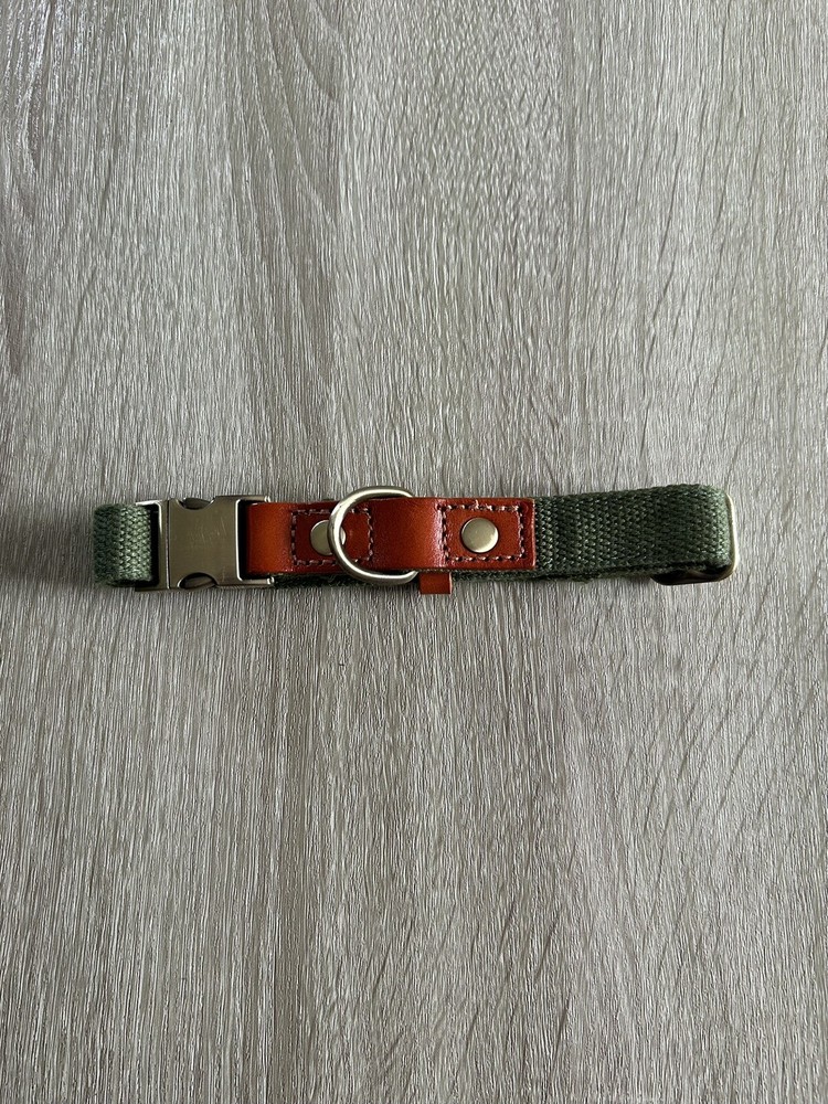 NWOT … DIDOG Durable / Adjustable “Size: M” Dog Collar