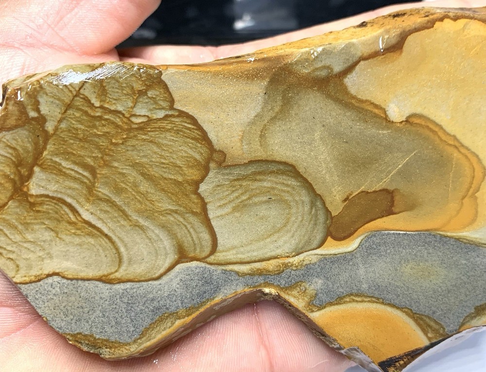 Disaster Peak Picture Jasper Slab