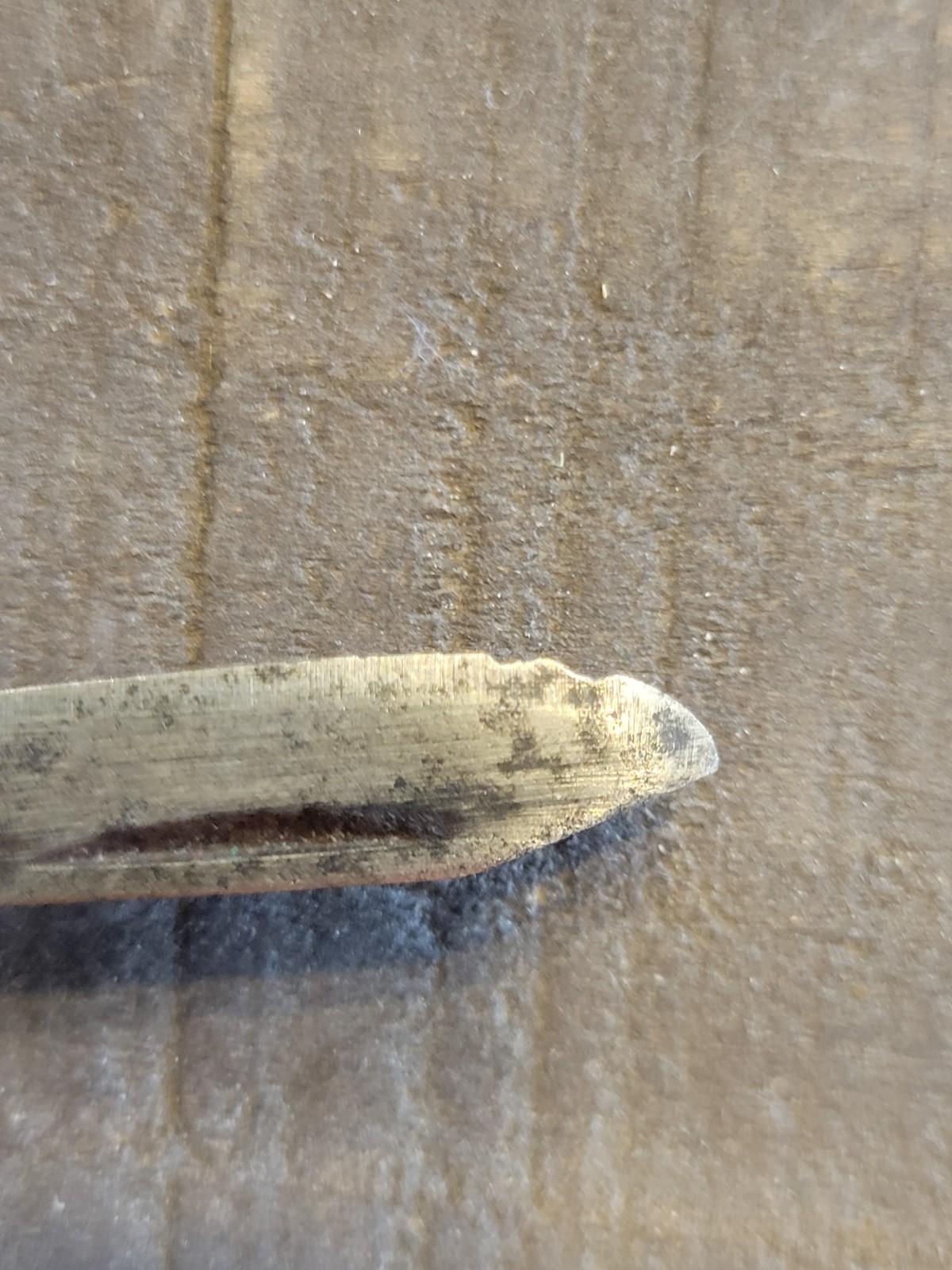 Case XX 6229 1/2 tadpole Pocketknife Two-Blade Brown Clip Pen