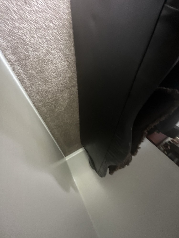 Brown Couch