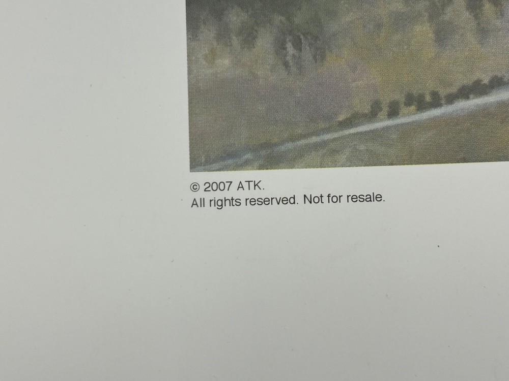 2007 NASA Space Shuttle "T-Plus 30" Print