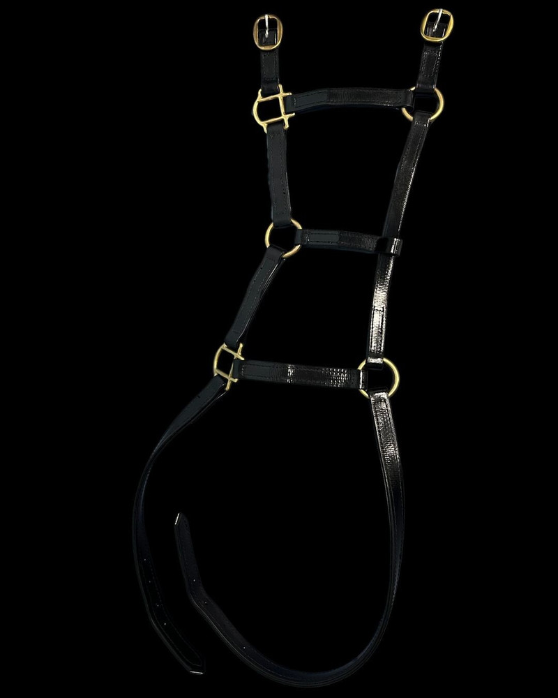 Auscoat PVC Headstall - Solid Brass - Warmblood, Draft -16 Colours