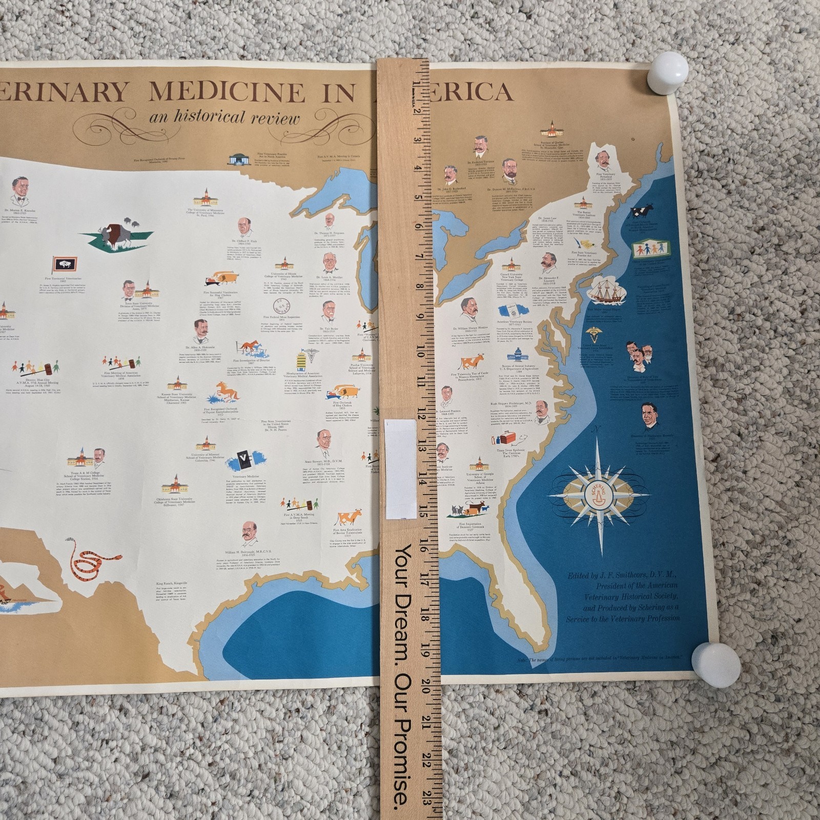 1960 Veterinary Medicine In America Poster History Map Unframed Vtg Vet Wall Art