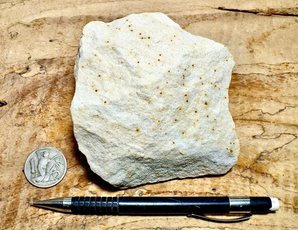 sandstone - arkosic fine grained Miocene sandstone - hand/display specimen