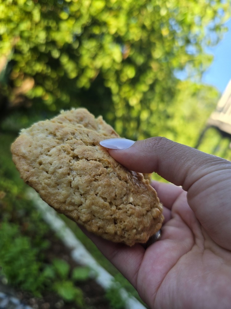 Dozen - White Chocolate Chip Oatmel Cookies