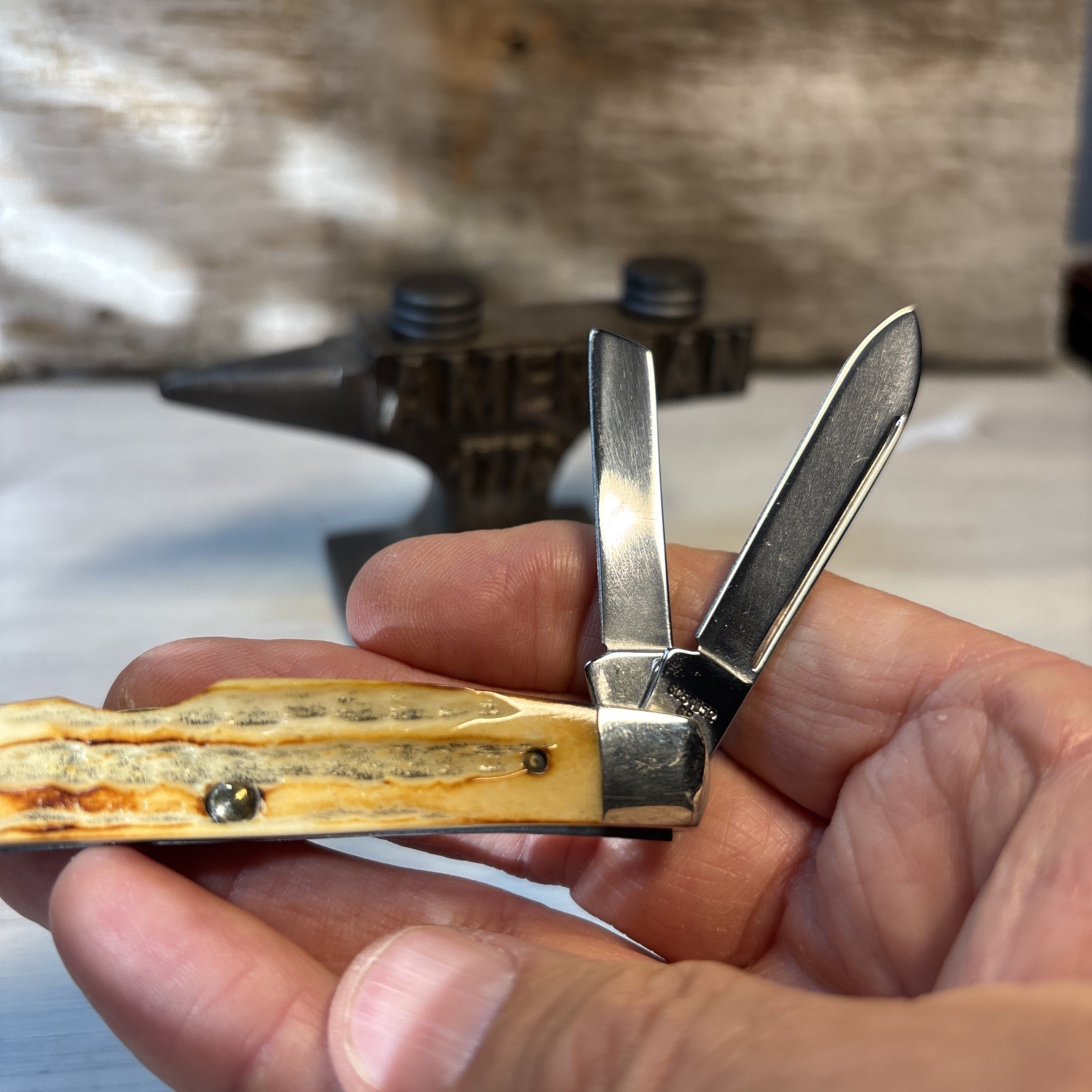 Case XX SC64052 1993 4 Blade Congress Pocket Knife Second Cut Bone Stag