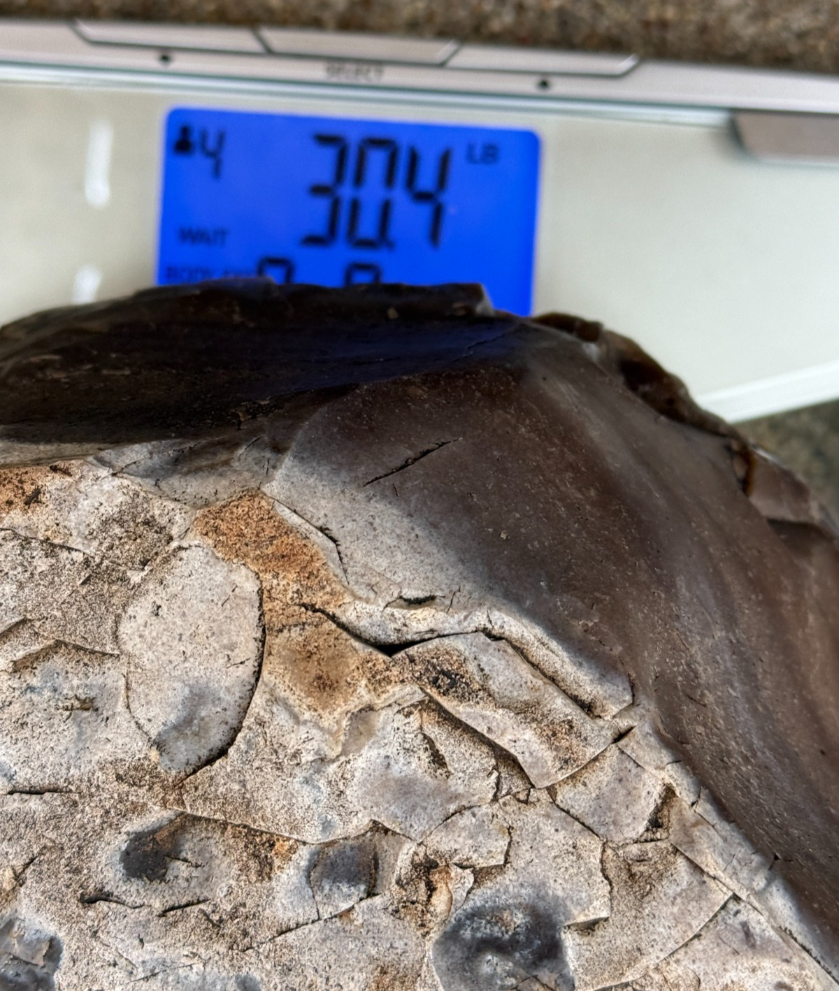 LARGE 30.4 lb Texas Flint Edwards Plateau Chert Nodule Garden City TX Knapping