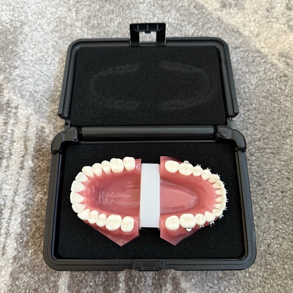 Ormco Bonding Typodont - Dental
