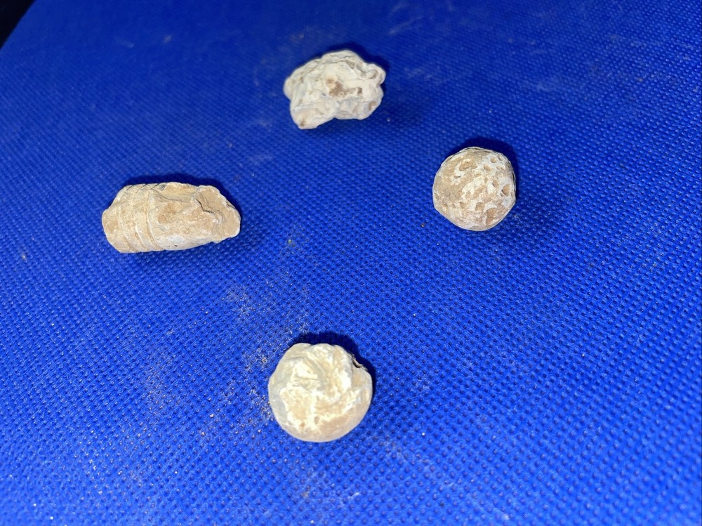 dug civil war relics