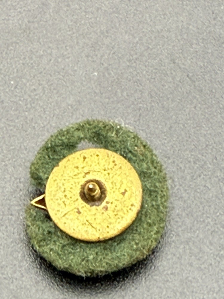 Camp Greenbrier Academic Star Recognition Lapel Pin N7