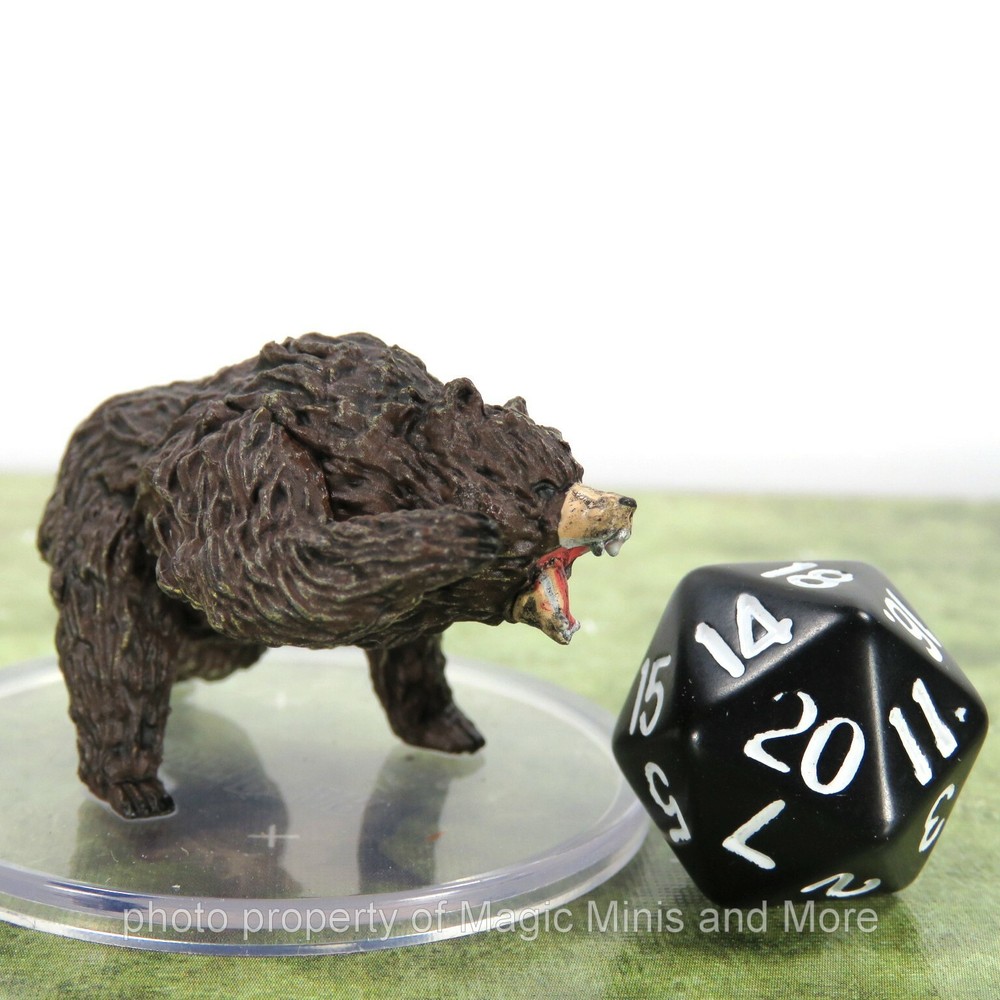 Wild Shape Polymorph ~ BROWN BEAR #11 Icons Realms D&D Spell Effects miniature