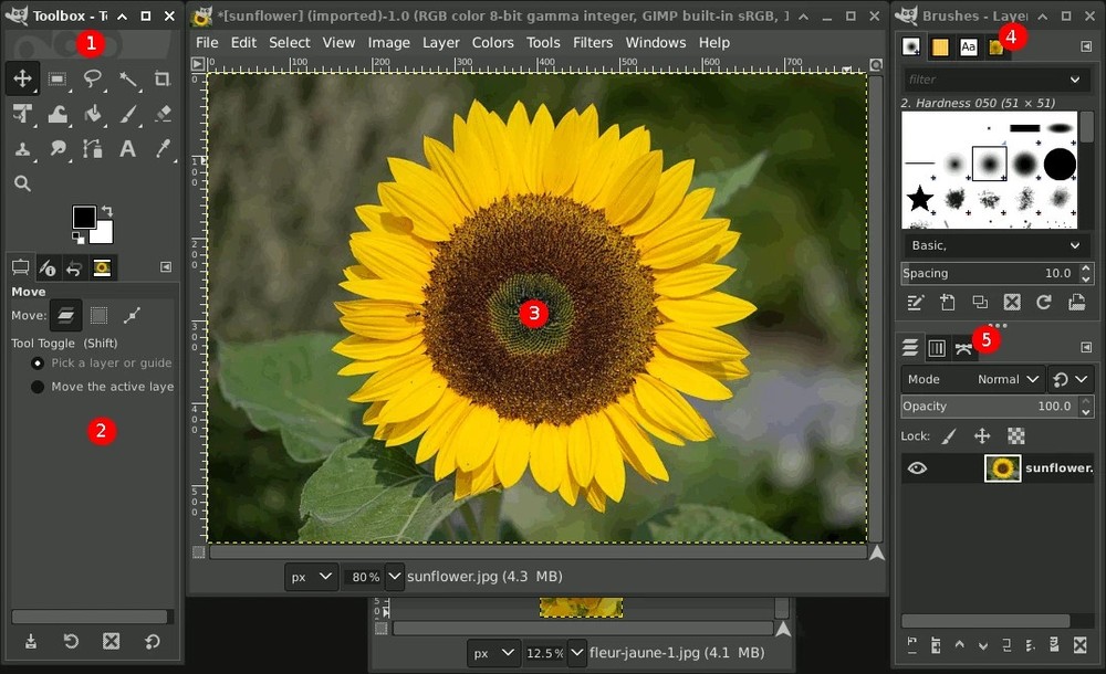 Premium Photo Editing Suite Toolbox Bundle for Windows - Photo Image Editor USB