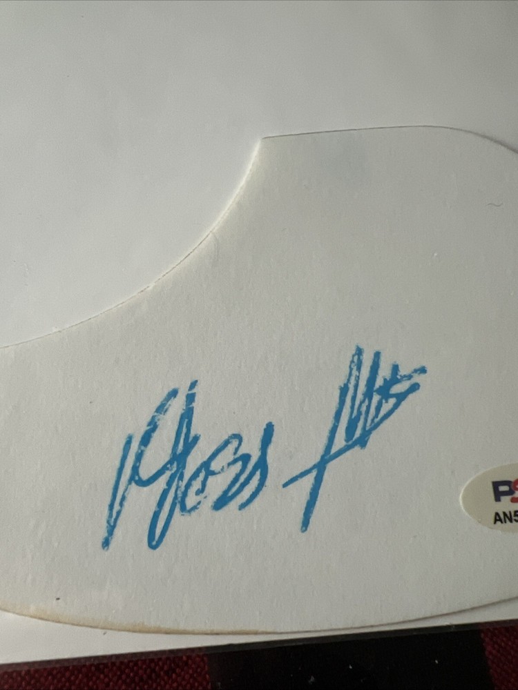 Matisyahu Signed Large Guitar Pick Auto PSA Authenticated