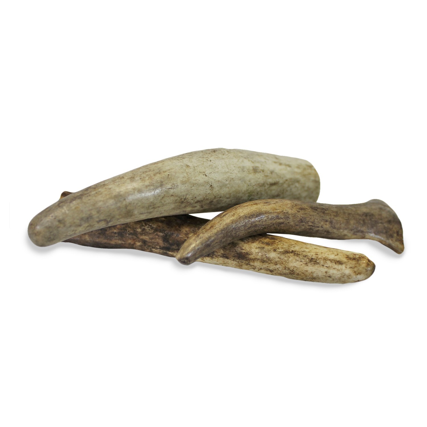 Antler Chews - Natural Source - Food for Chinchillas, squirrels and more