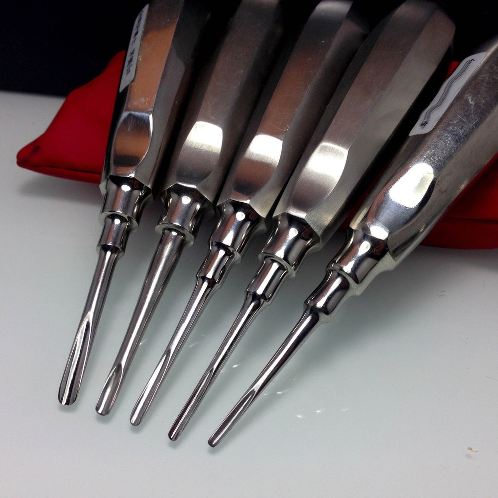 10 Pcs Dental Luxating Luxation Root Elevator Autoclavable Extraction Apical
