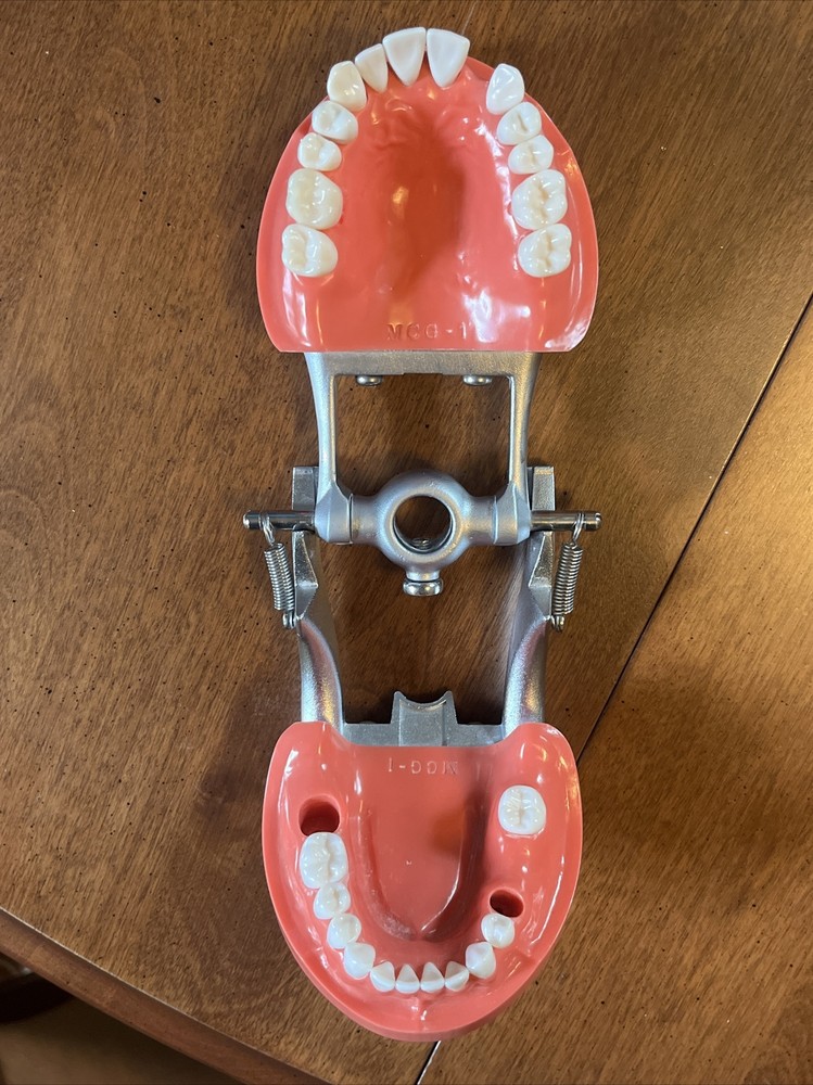 Kilgore Mcg 1 Fixed Dentoform x2