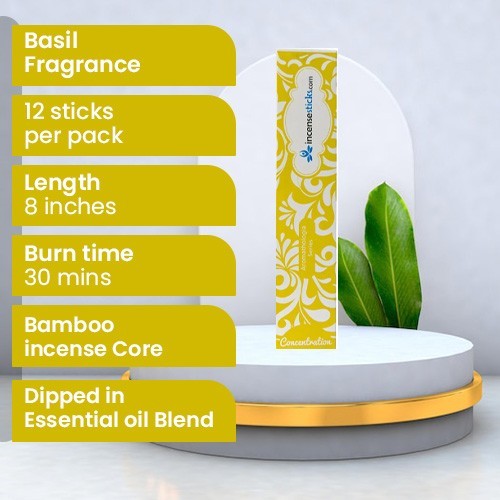 Concentration Incense 8" 12 Sticks Pack: 10 Packs