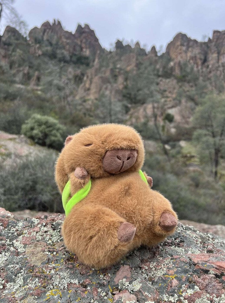 Capybara Chalk Bag