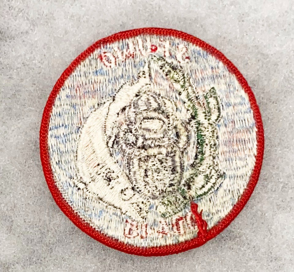 Special Forces SFUWO ODA-15 Pocket Patch