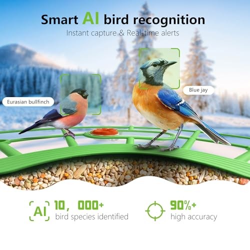 Bird Feeder with Camera, AI Birds Identification, Solar Powered, Live View,
