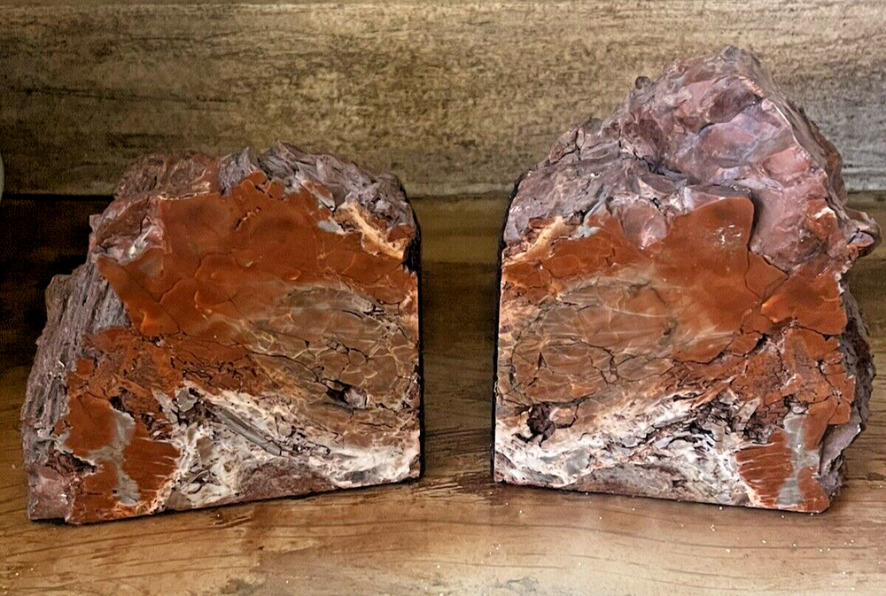 Petrified Wood Bookends Polished Rock