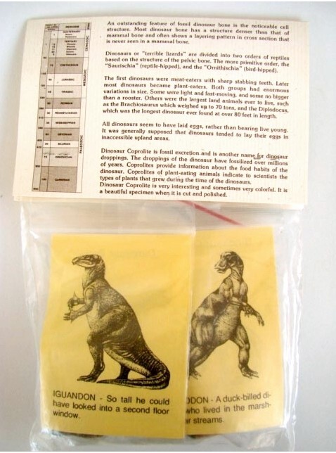 Fossils: Dino Pac, Dinosaur Bone, Coprolite, and Egg Shell & Information Cards