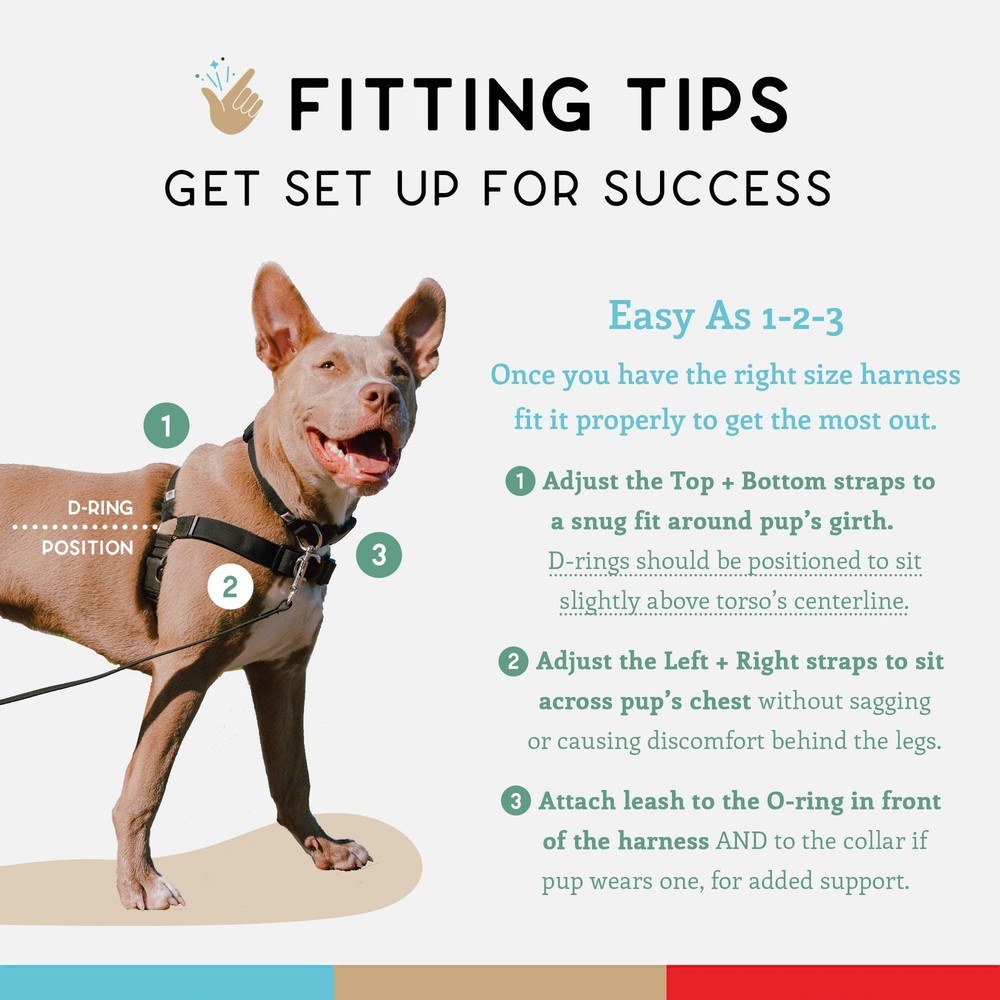 No Pull Dog Harness | Comfortable Training Harnesses | Effective No Pull Harn...