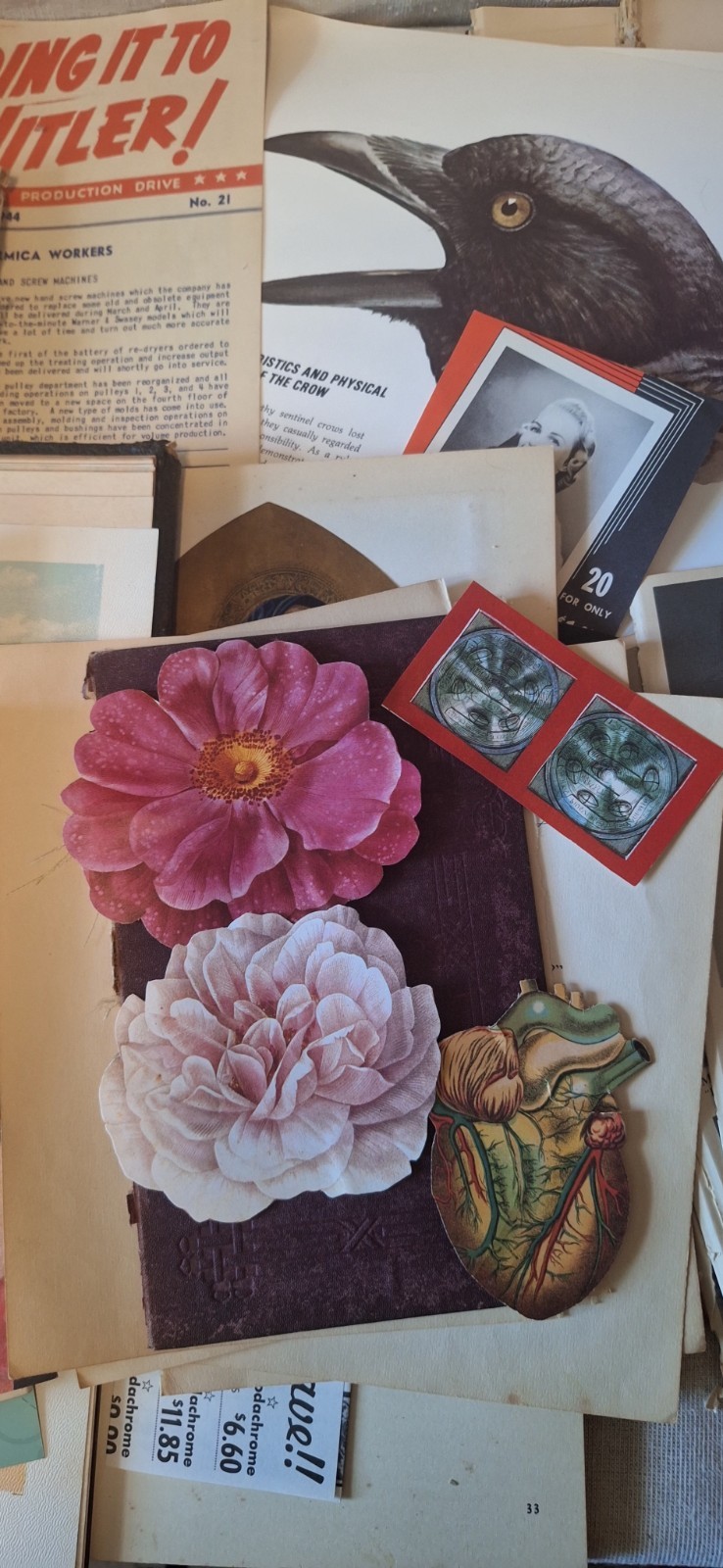 Vintage & Antique Paper Assorted Ephemera for Collage, Decoupage, Crafts 6+ Lbs