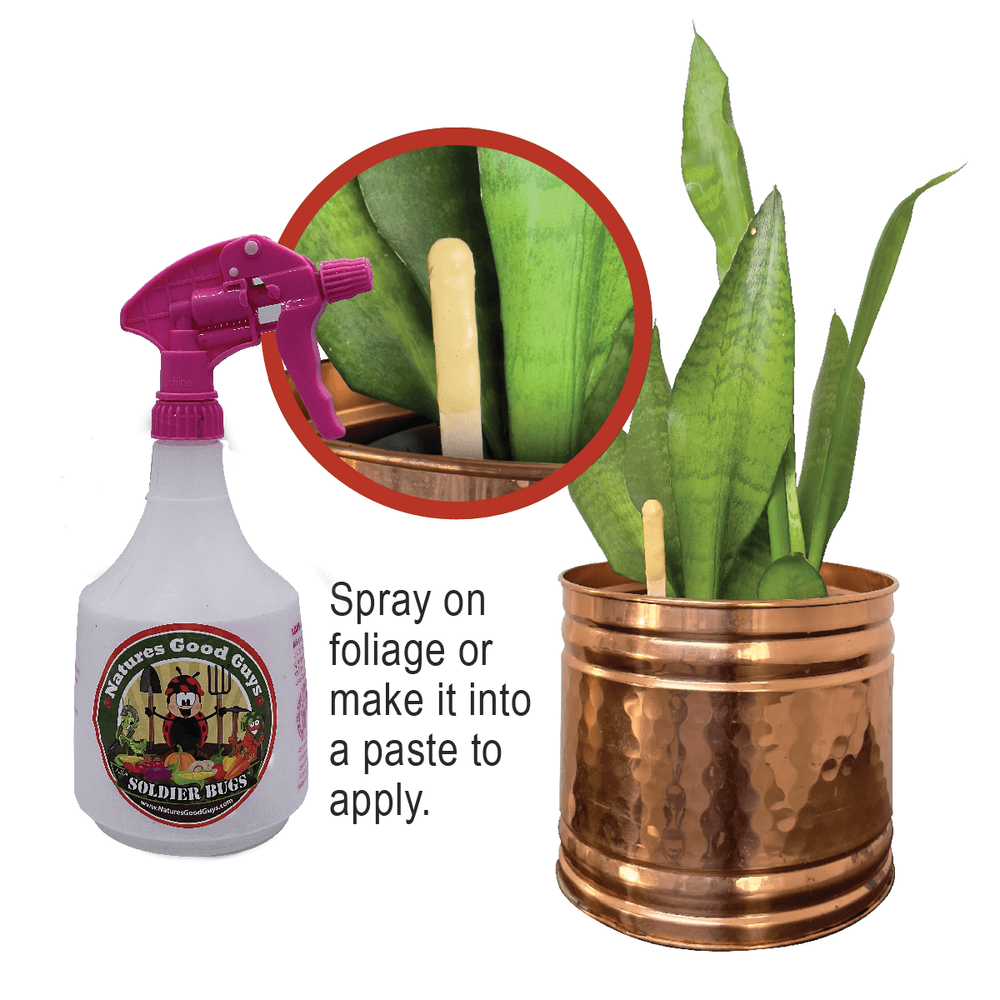 Good Bug Diet .5lb. - Beneficial Bug Attractant