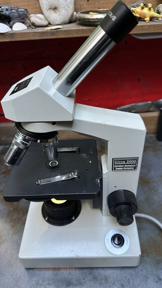 Wolfe Circa 2000 Student Compound Microscope - Model 855838 - Excellent Shape