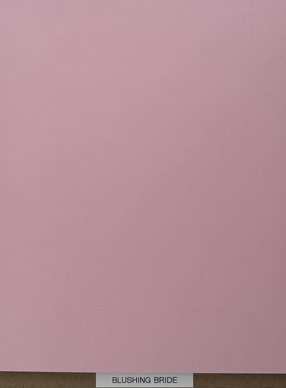 Stampin’ Up! "(8) NEW SHEETS 8.5 x 11 CARDSTOCK" YOU CHOOSE! *Retired Colors*