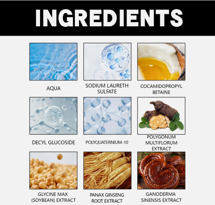 Black Hair Dye Shampoo 3 in 1 500ml Hair Color Shampoo Instant Grey Coverage